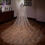 Sequined Mesh Long Bridal Veil