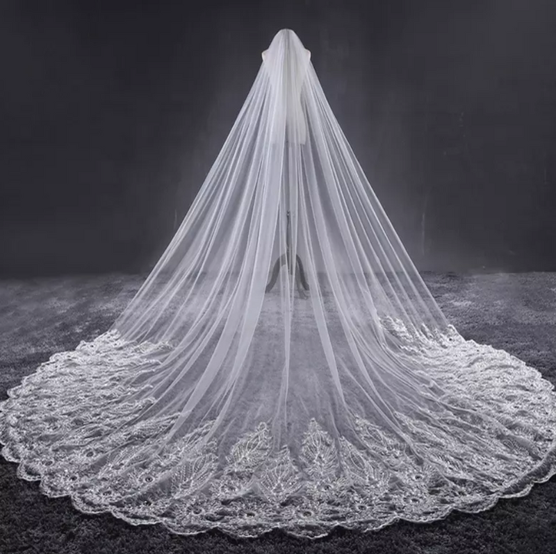 Lace Trim Cathedral Bridal Veil