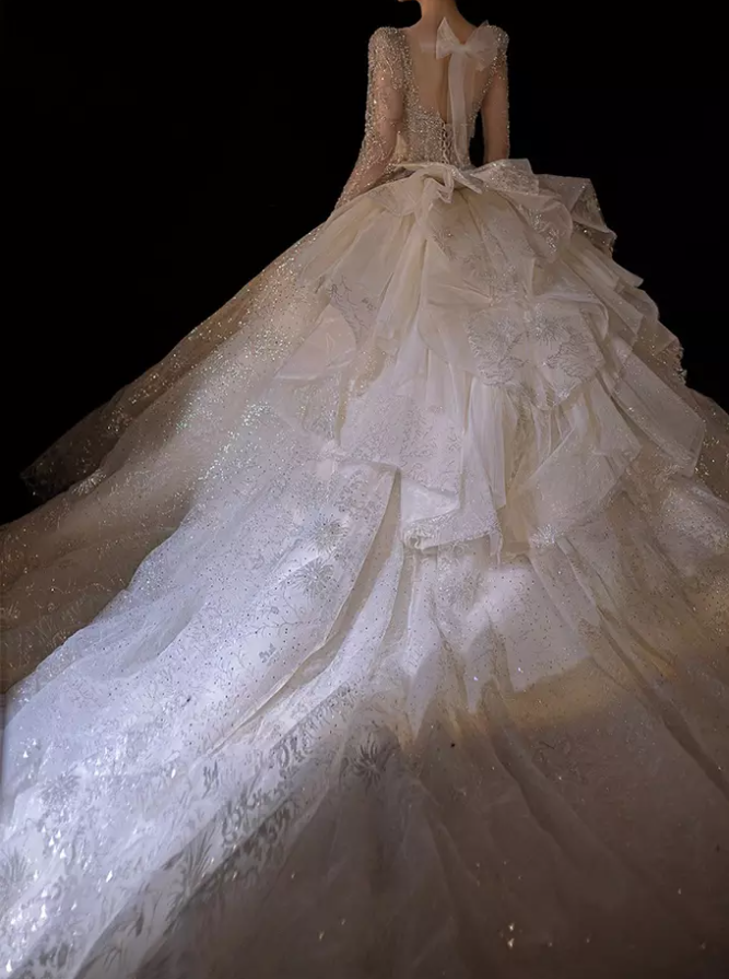 Long Sleeve Sheer Layered Glitter Detail Organza Cathedral Train Wedding Dress
